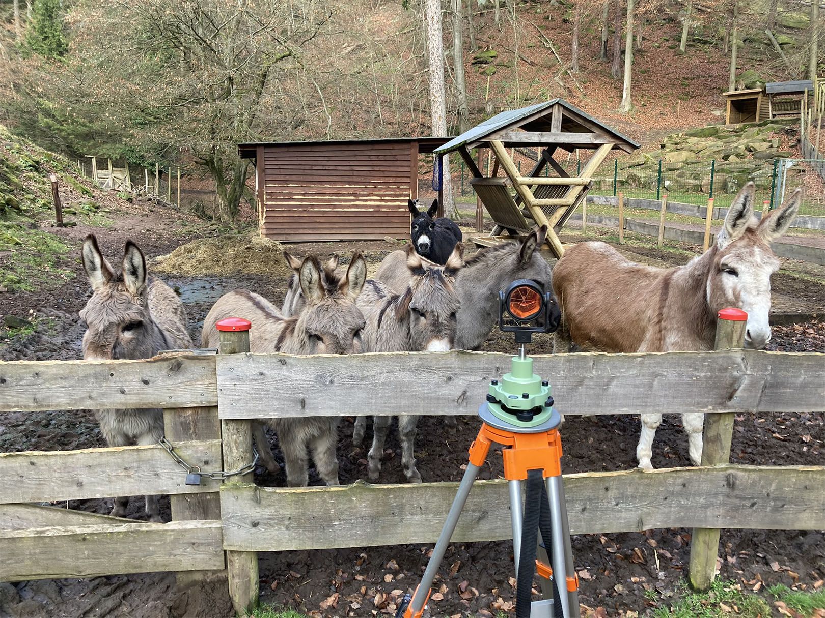 Breitband DÜW Moin